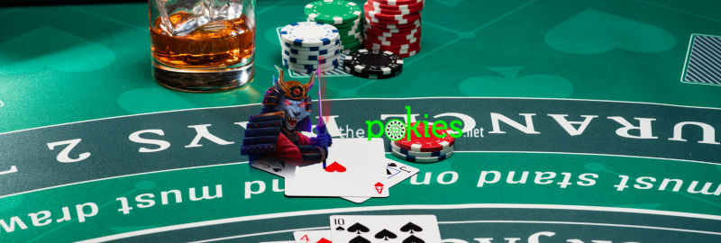 The Mirror Style: Browsing Domain Redirection at The Pokies Net Casino